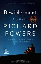Bewilderment