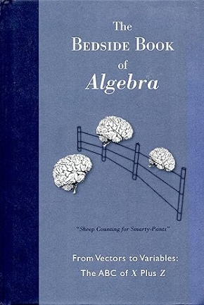 The Bedside Book Of Algebra