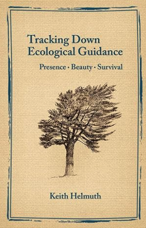 Tracking Down Ecological Guidance: Presence , Beauty, Survival