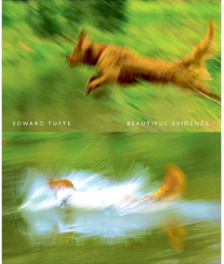 Beautiful Evidence