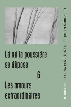 La ou la poussiere se depose & Les amours extraordinaires