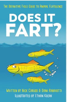 Does it Fart?