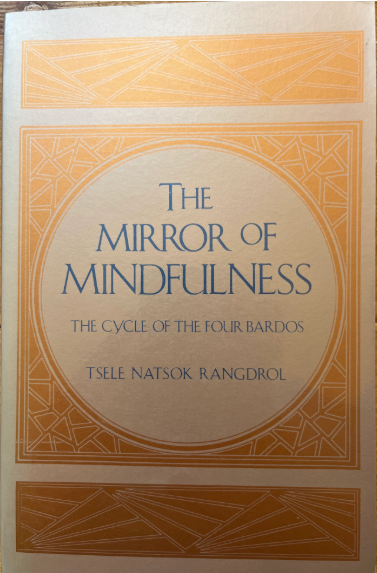 The Mirror of Mindfulness