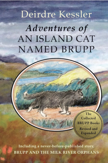 Adventures of an Island Cat Named Brupp - Agricola Street Books