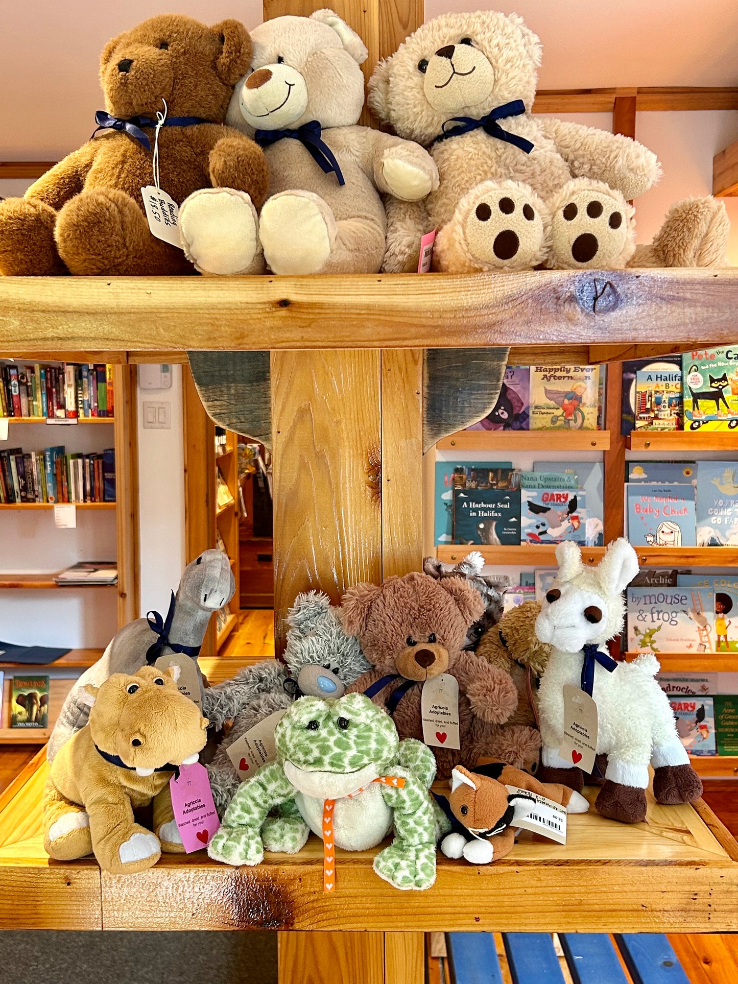 Agricola Adoptables - Agricola Street Books