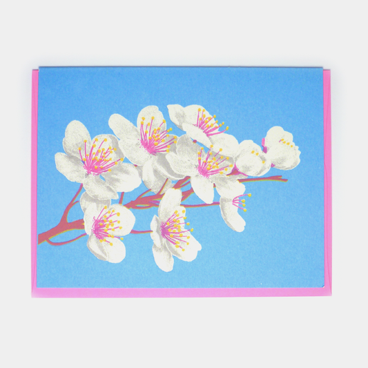 Kid Icarus - Everyday - Cherry Blossom - Agricola Street Books