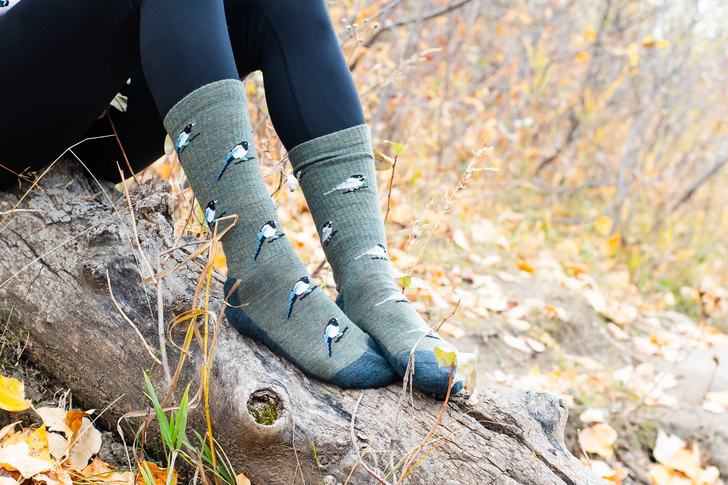 Friday Sock Co. - Women's Chickadee & Magpie Merino Wool Socks