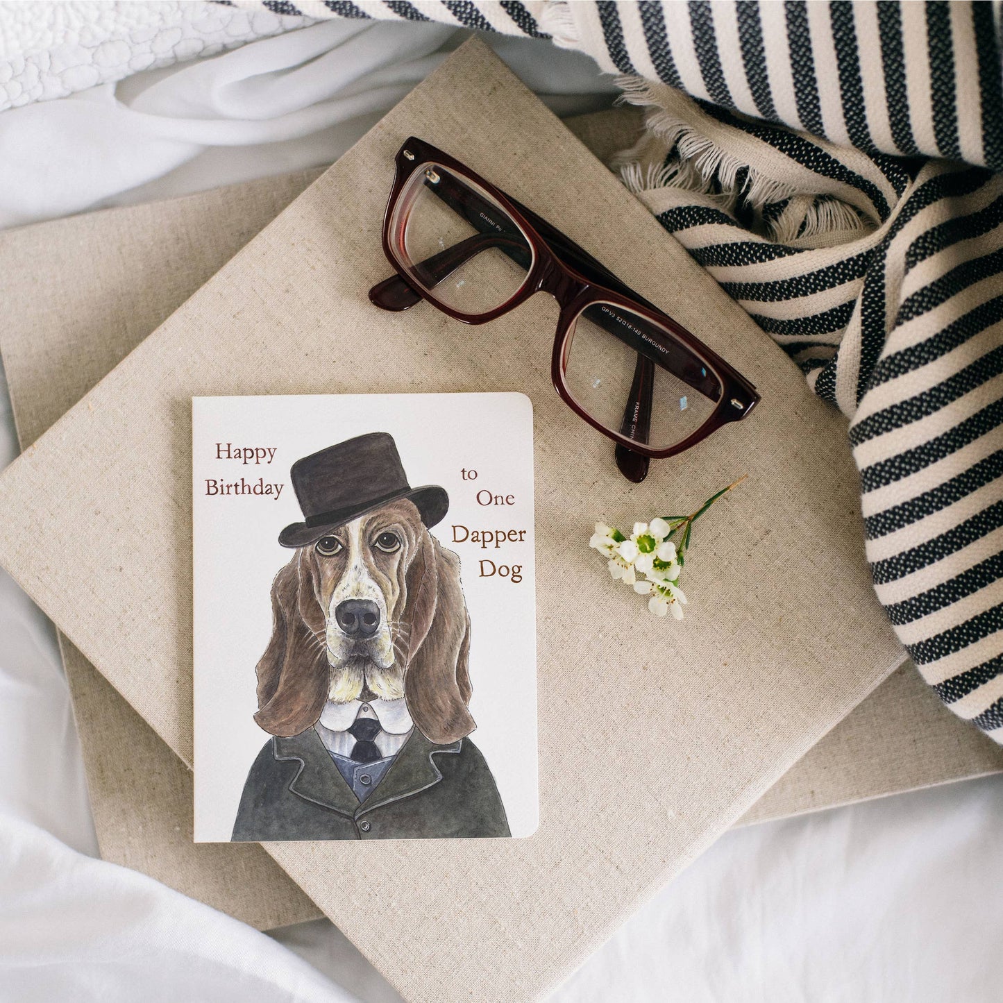 Gotamago - Dapper Dog Birthday Card - Agricola Street Books