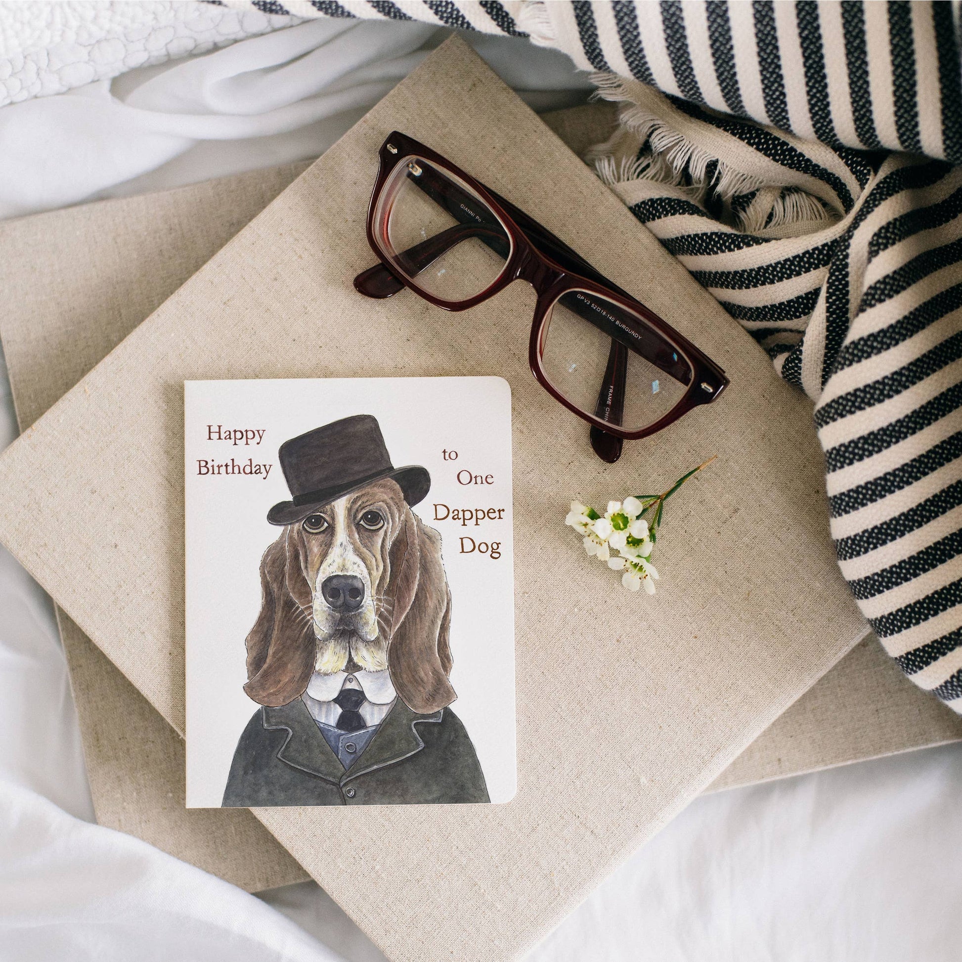 Gotamago - Dapper Dog Birthday Card - Agricola Street Books
