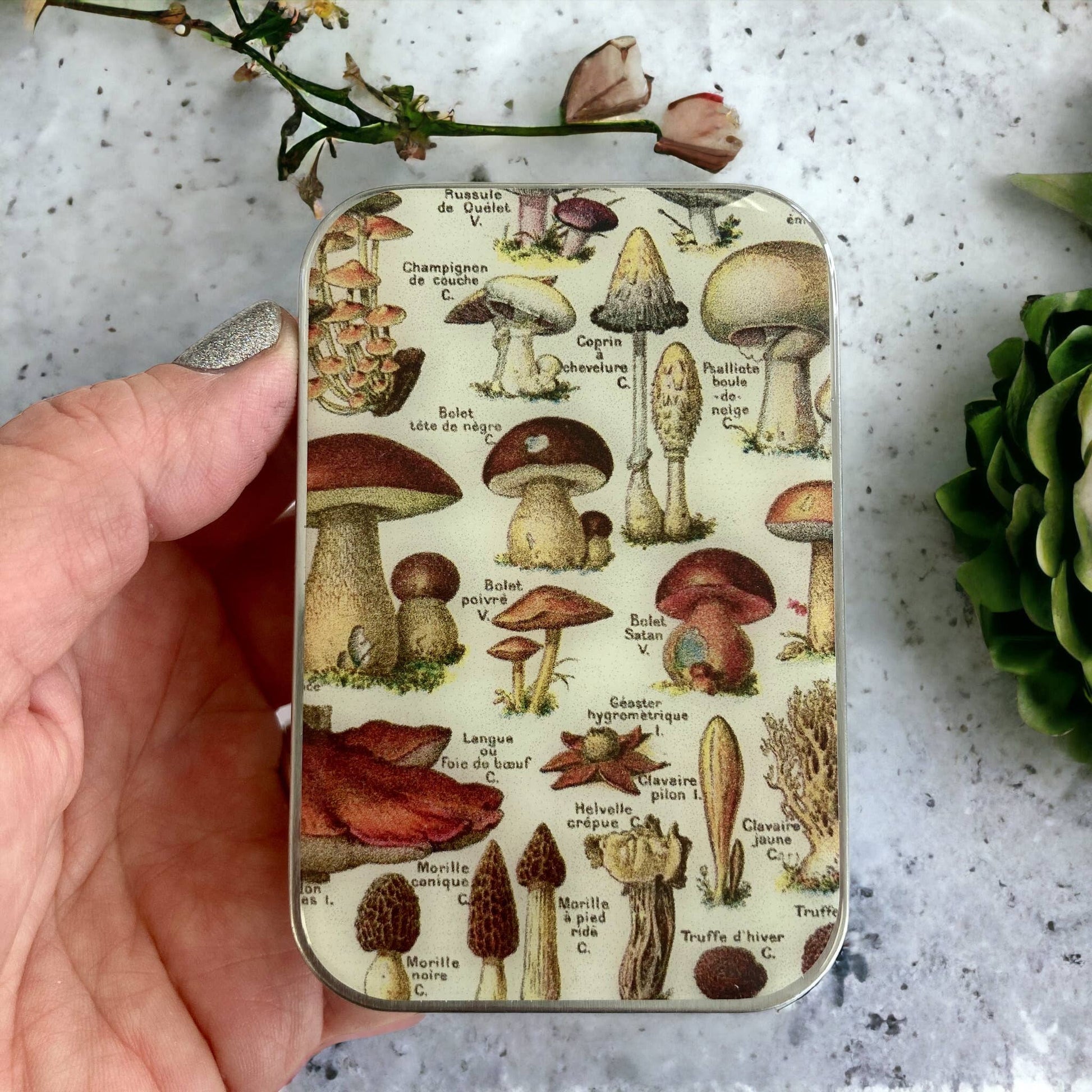 Firefly Notes - Mushroom Storage Tin - Agricola Street Books