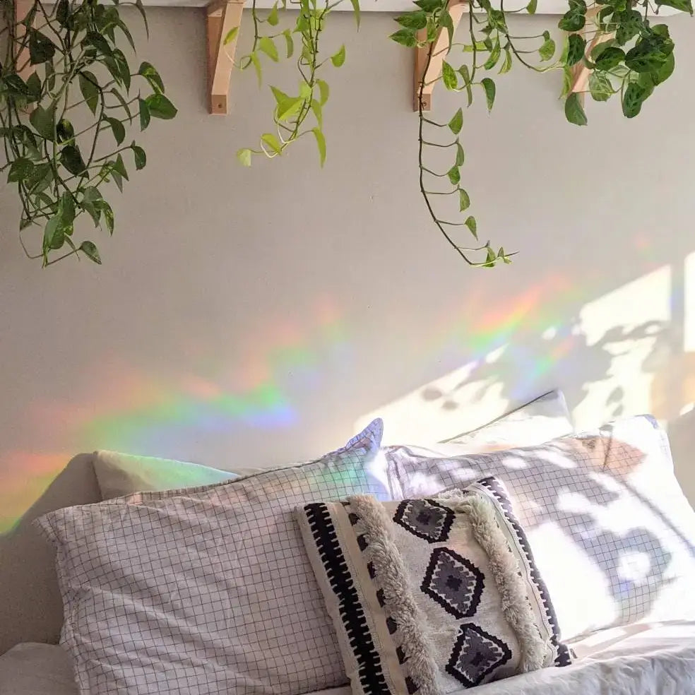 Prismatic Kitty - Dinosaur Suncatcher Sticker - Agricola Street Books