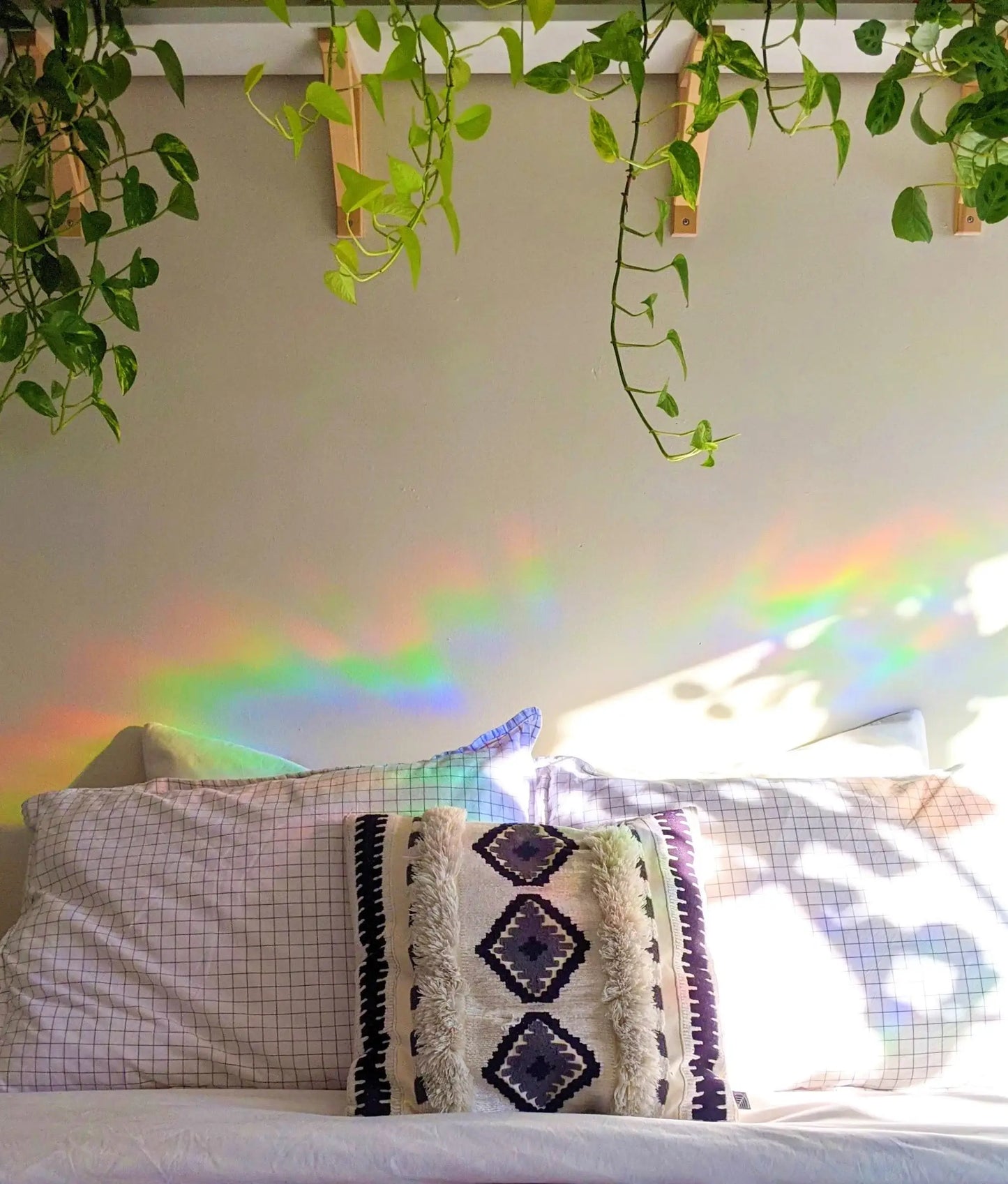 Prismatic Kitty - Lobster Suncatcher | Nautical Decor | Coastal Gift