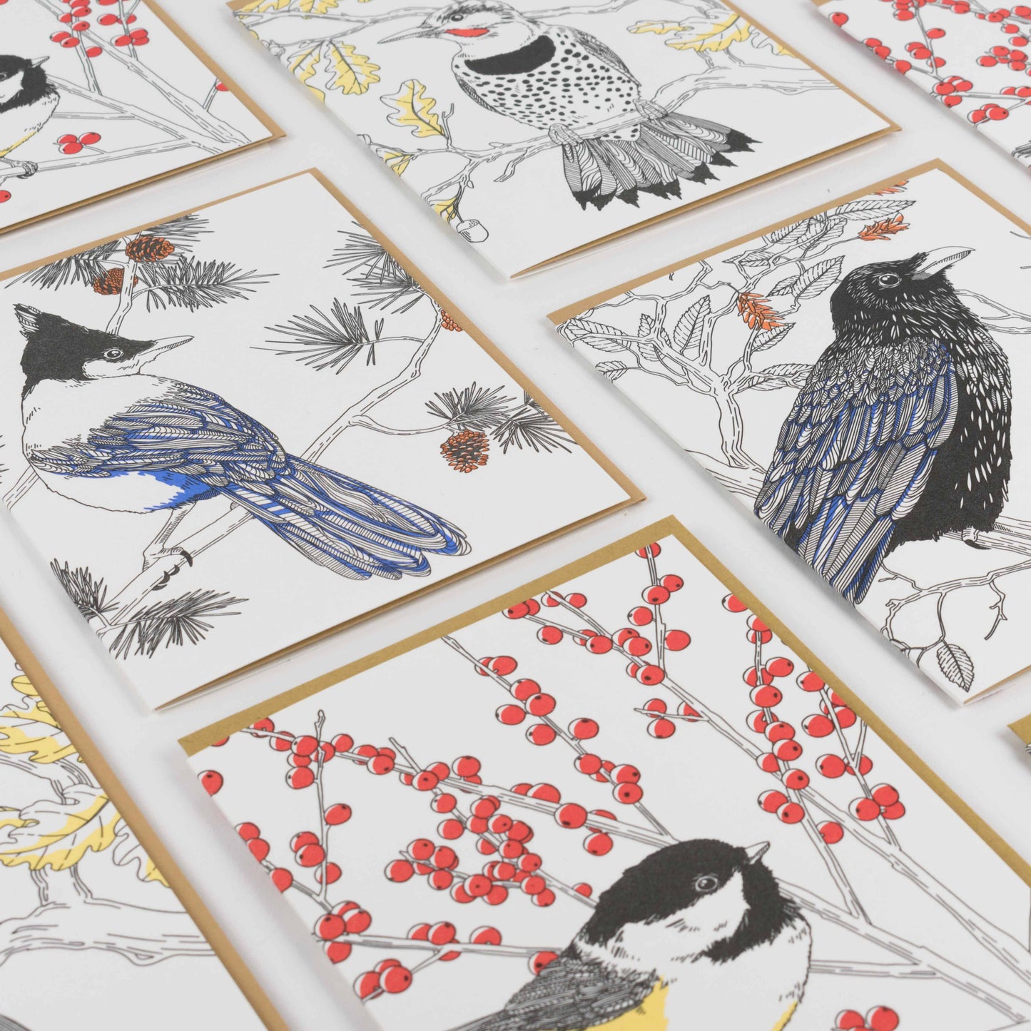 Porchlight Press Letterpress - Black-capped Chickadee Card