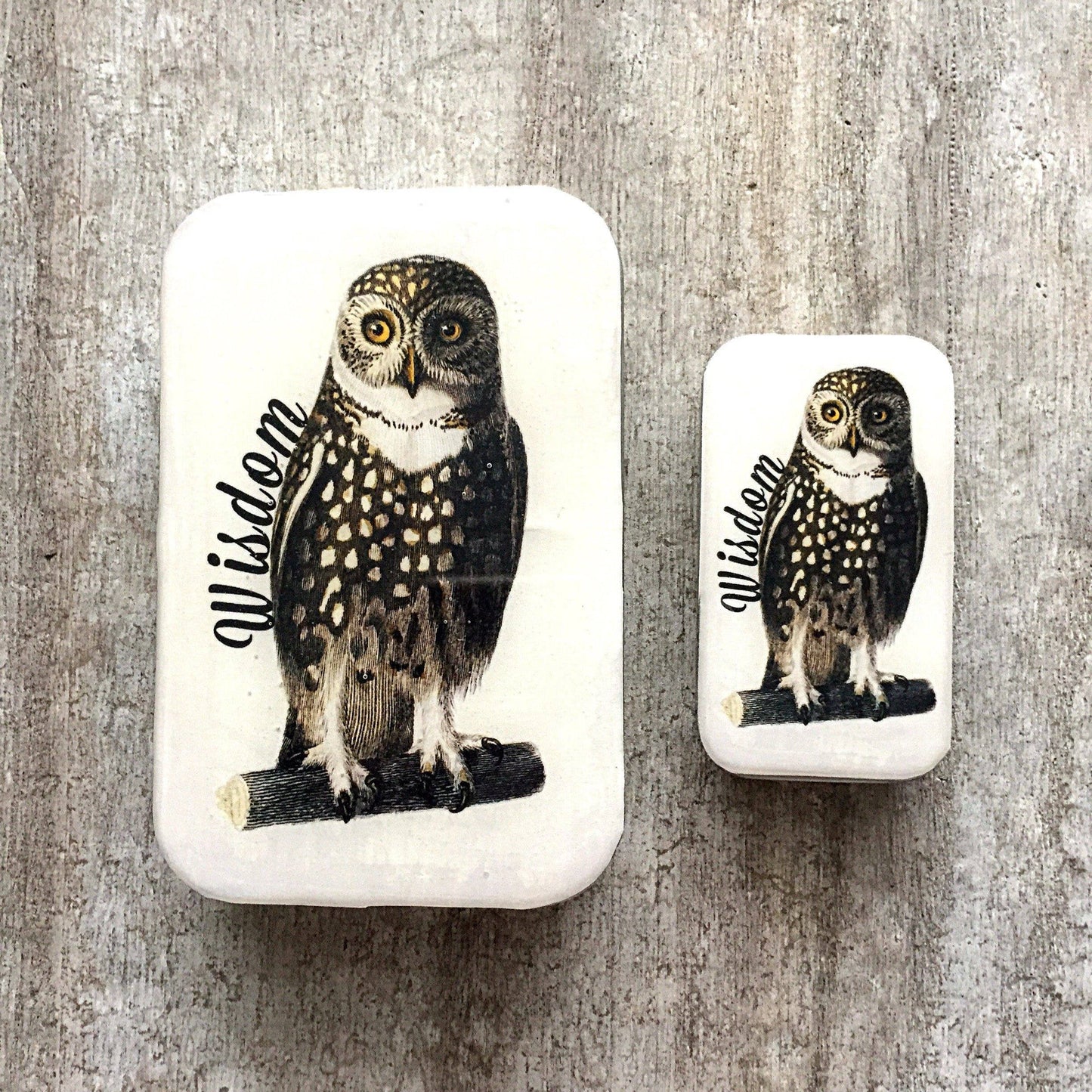 Firefly Notes - Wise Owl Tin