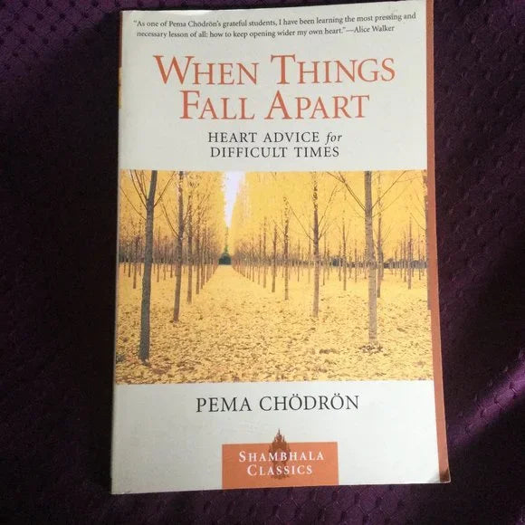 When Things Fall Apart -Heart Advice for Difficult Times