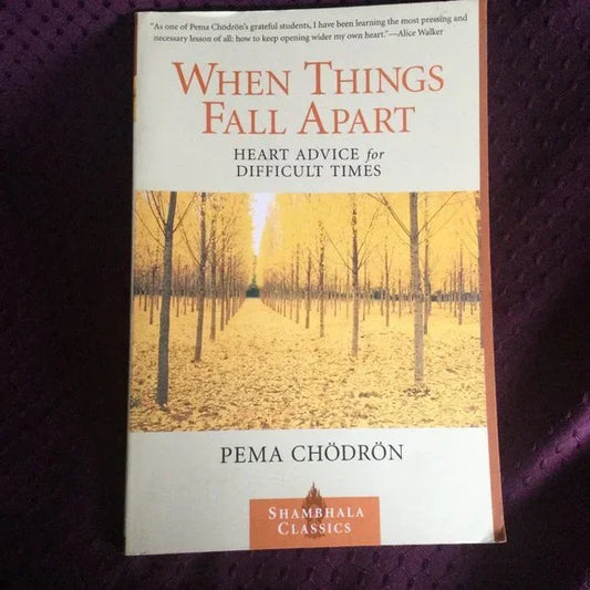 When Things Fall Apart -Heart Advice for Difficult Times
