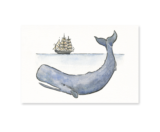 Gotamago - Moby Dick Postcard - Agricola Street Books