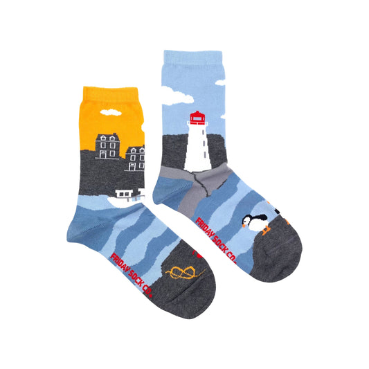 Friday Sock Co. - Women's Socks | Canadian Landscape | East Coast | Mismatched - Agricola Street Books