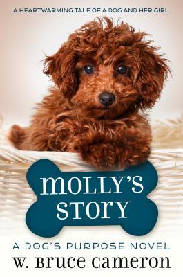 Molly's Story - Agricola Street Books