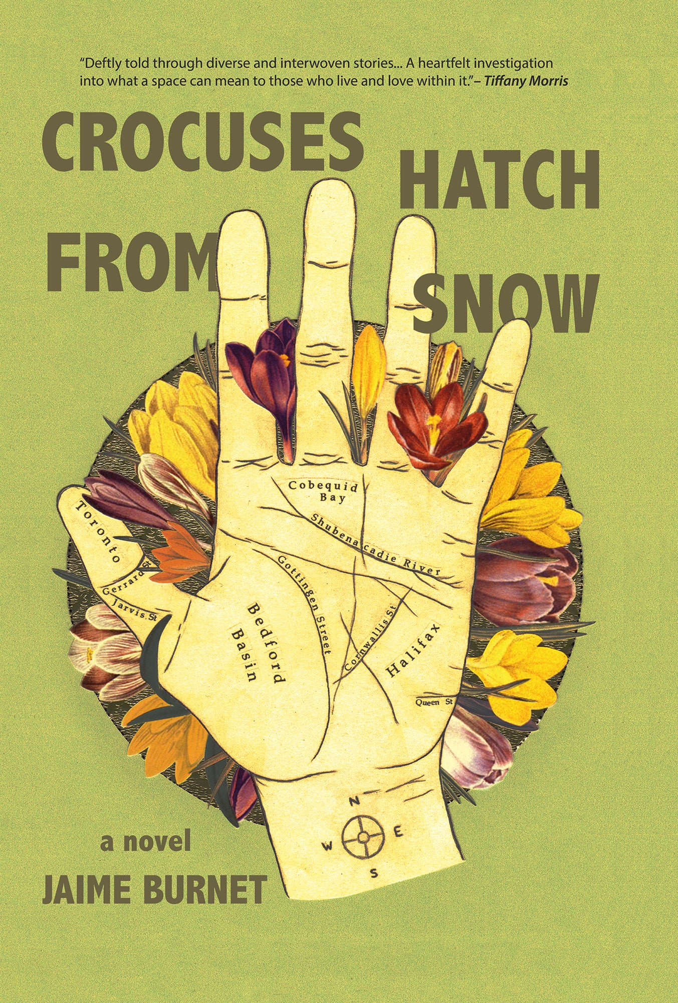Crocuses Hatch from Snow(dns) - Agricola Street Books