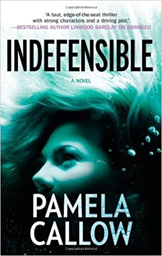 Indefensible - Agricola Street Books