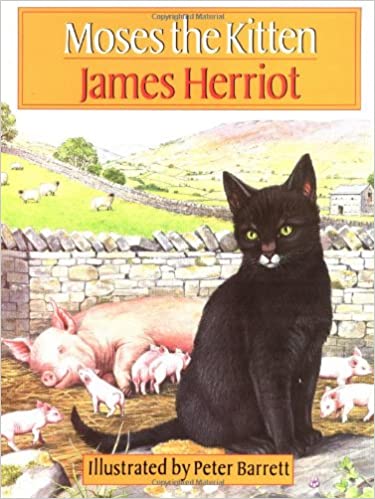 Moses the Kitten - Agricola Street Books