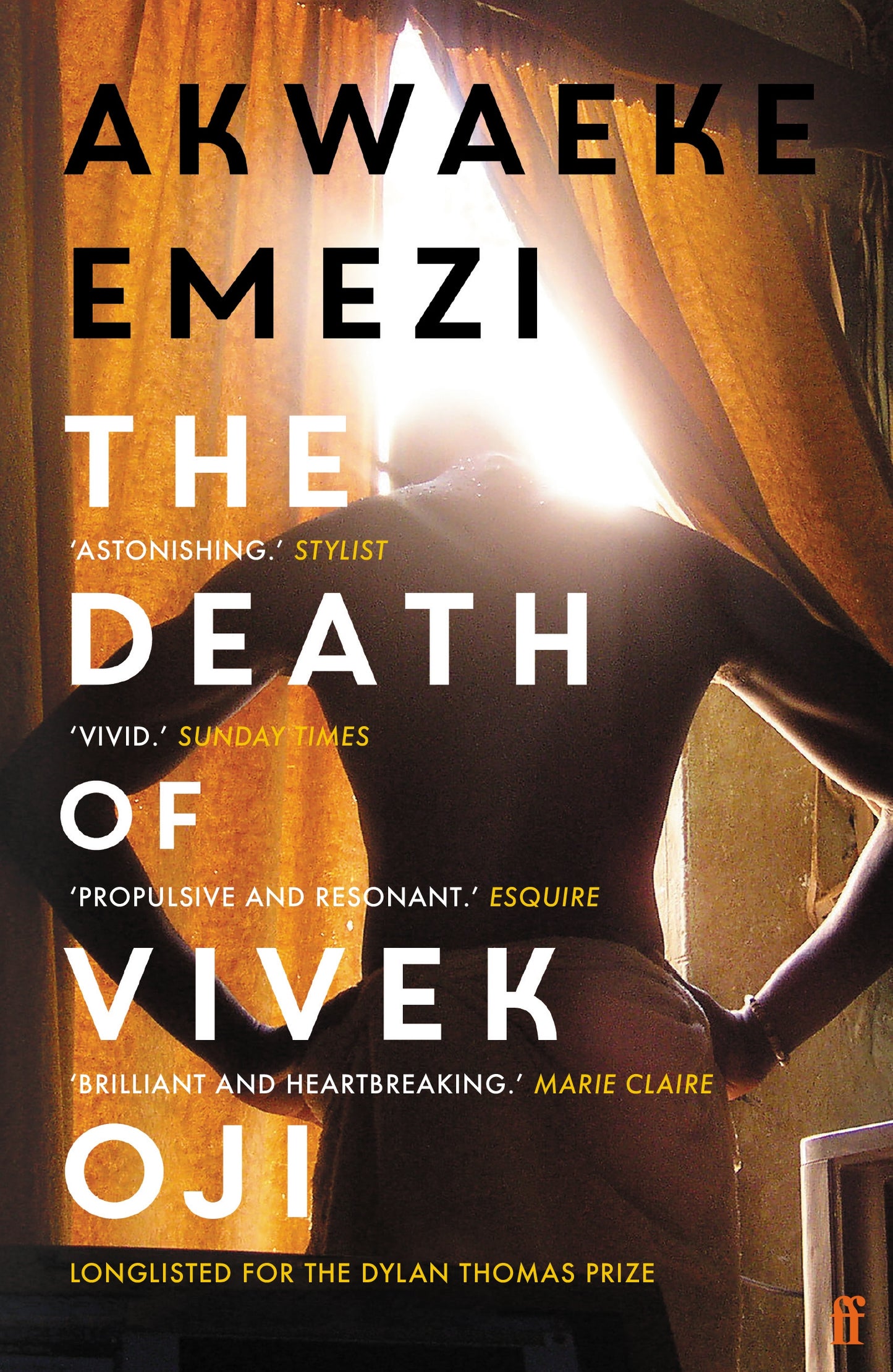 The Death of Vivek Oji - Agricola Street Books