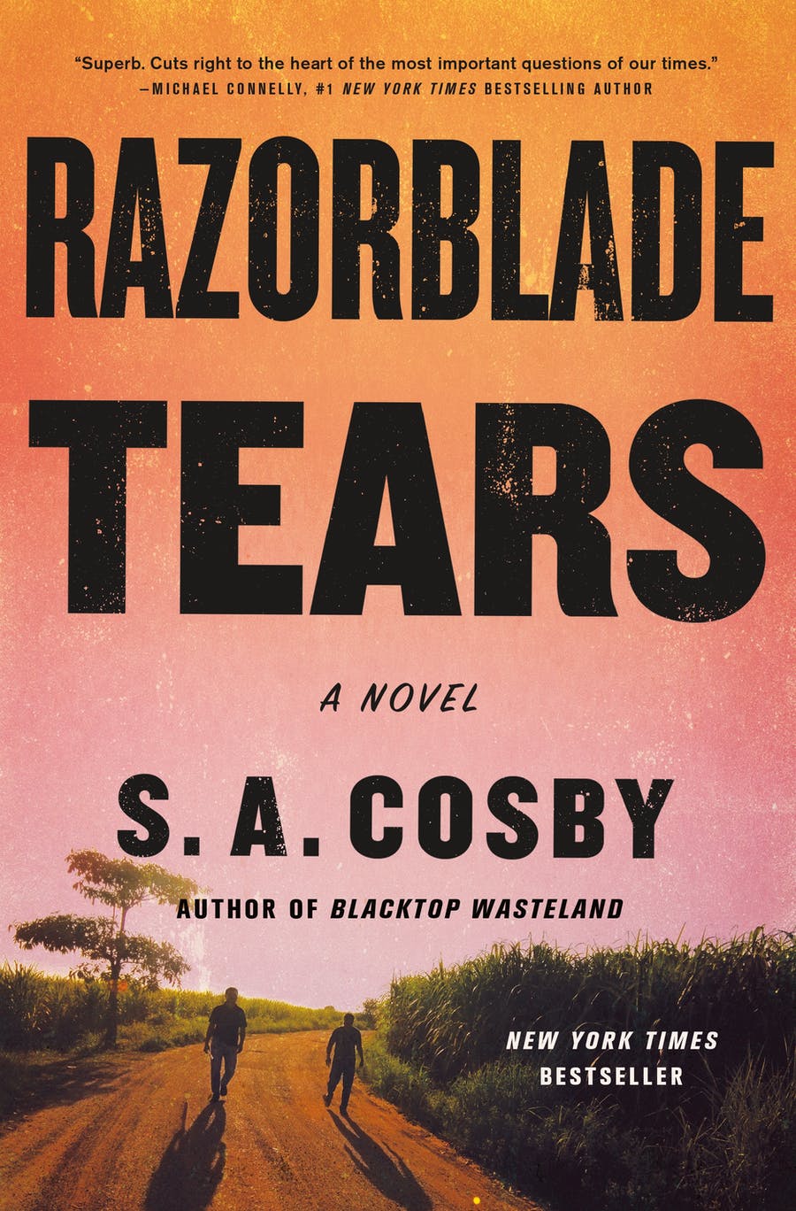 Razorblade Tears - Agricola Street Books