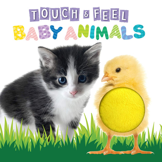 Touch and Feel Baby Animals - Agricola Street Books
