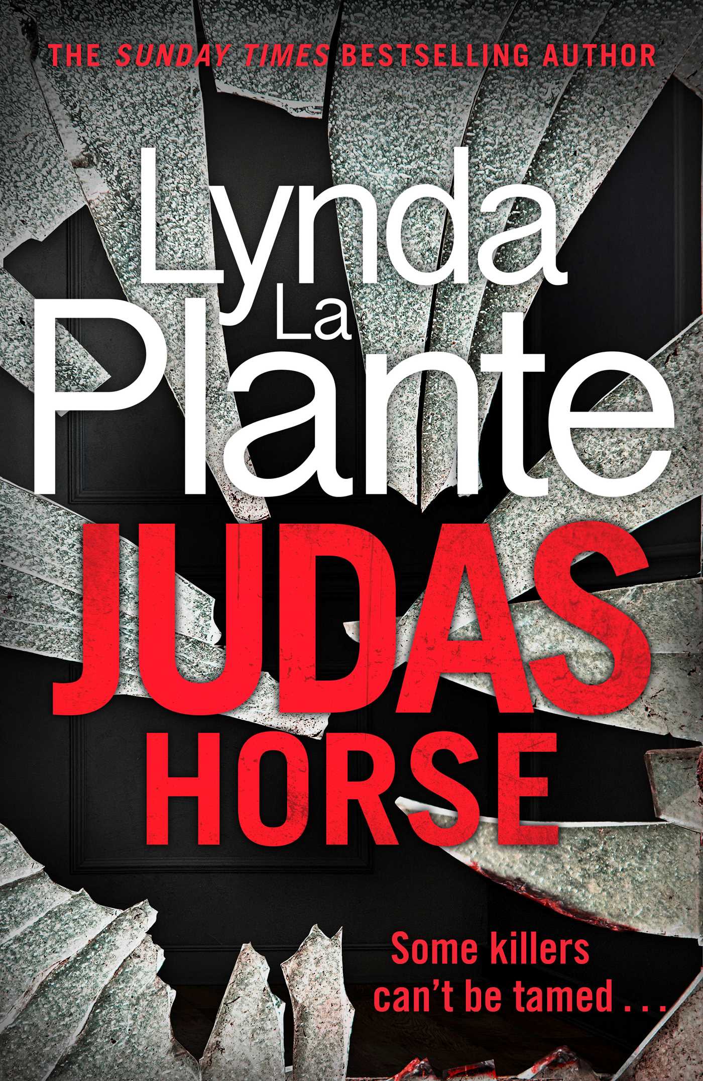 Judas Horse (DC Jack Warr #2) - Agricola Street Books