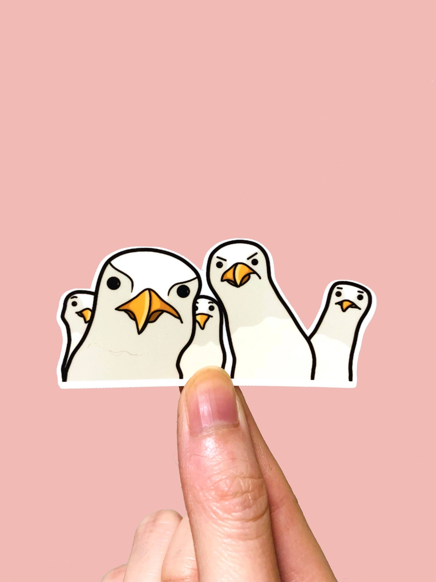 Small Noggin Studios - Funny Staring Seagulls Group Vinyl Sticker, bird meme mine,