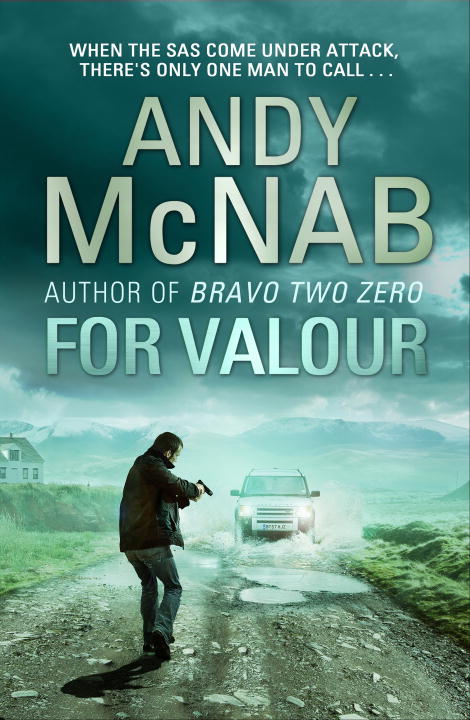 For Valour (Nick Stone #16) - Agricola Street Books