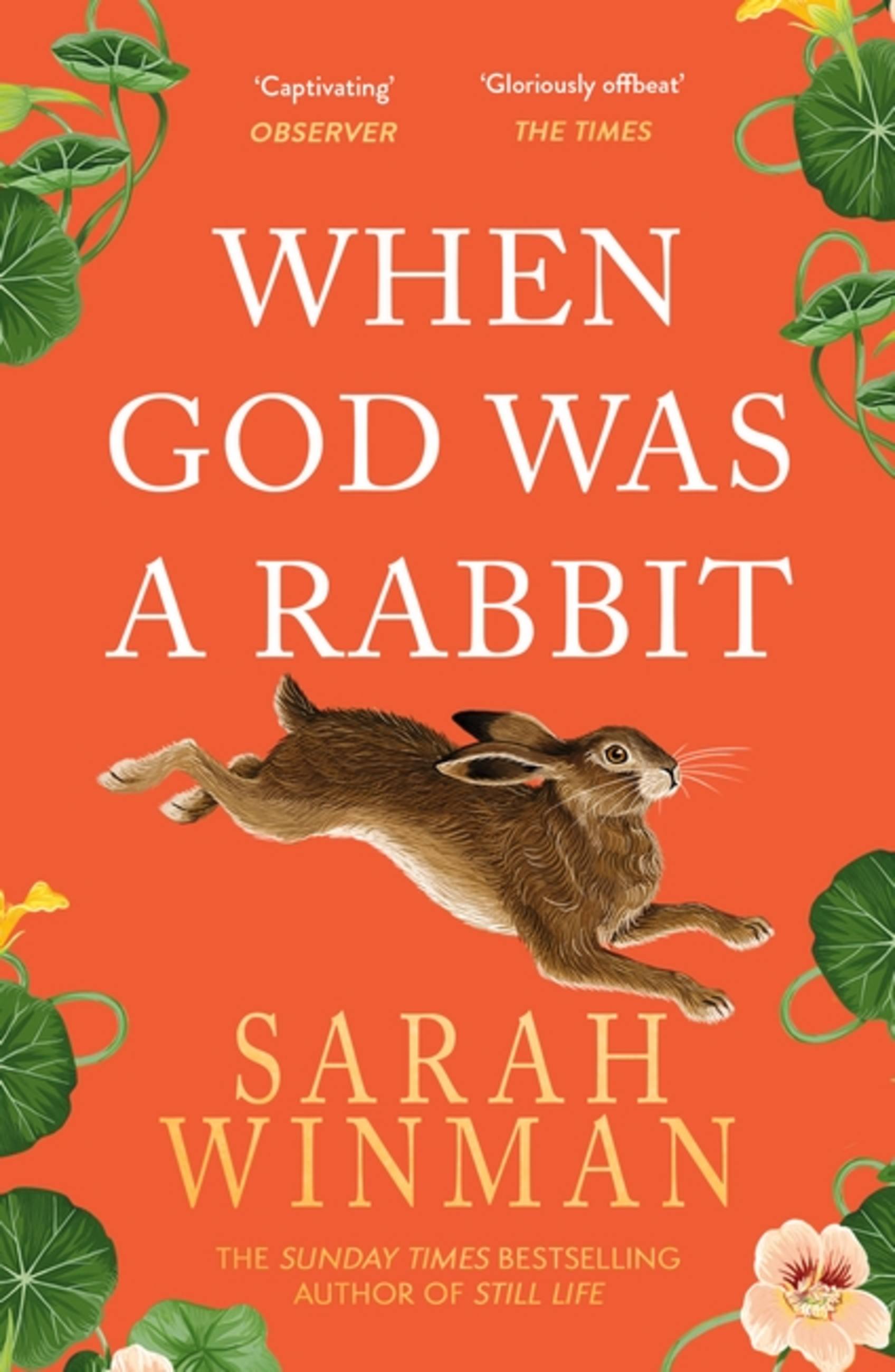 When God Was a Rabbit - Agricola Street Books