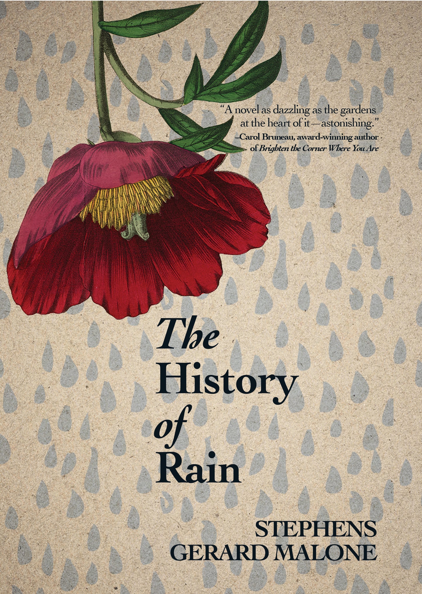 The History of Rain - Agricola Street Books