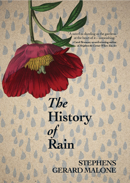 The History of Rain - Agricola Street Books