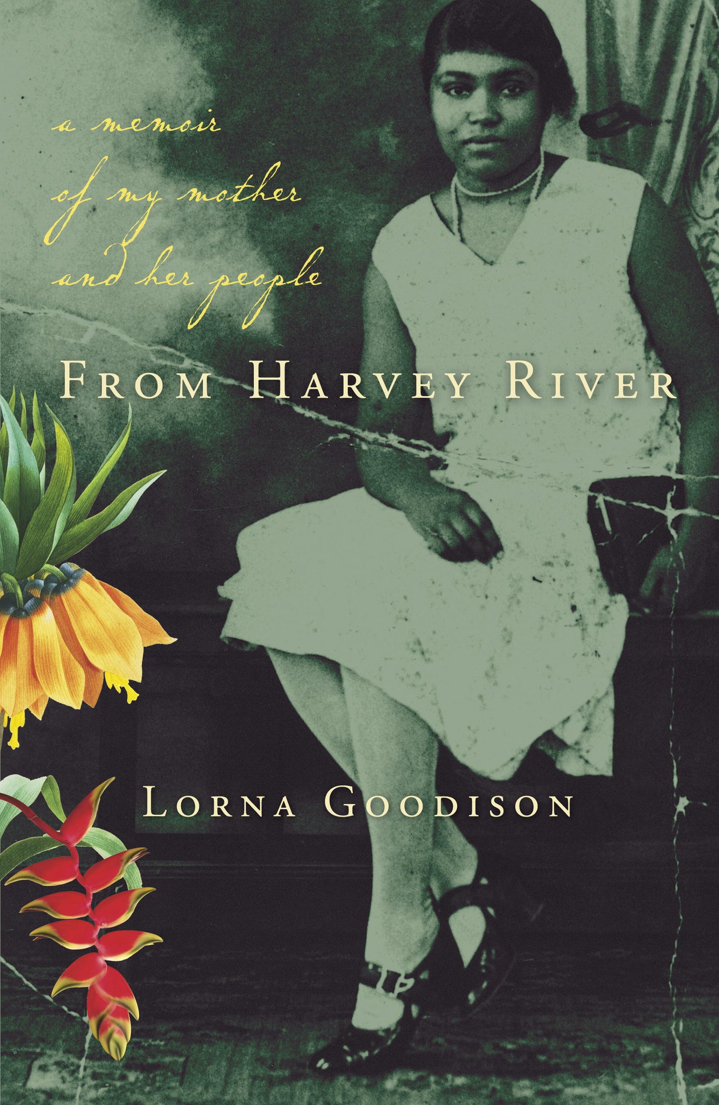 From Harvey River - Agricola Street Books