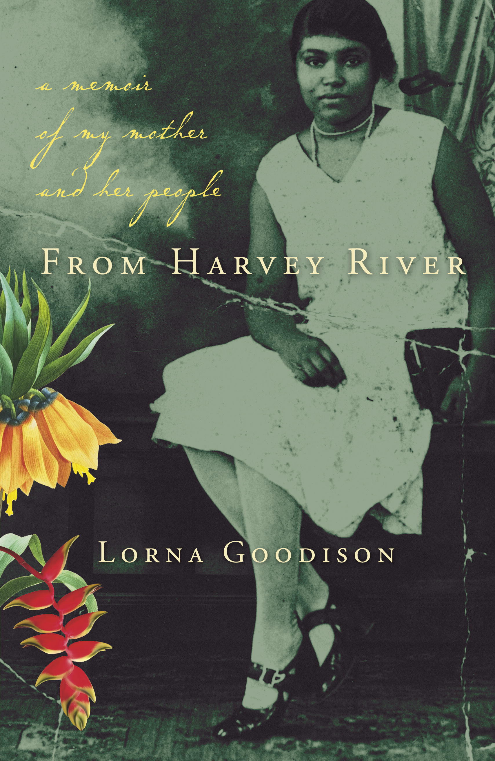 From Harvey River - Agricola Street Books