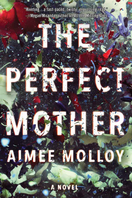 The Perfect Mother - Agricola Street Books