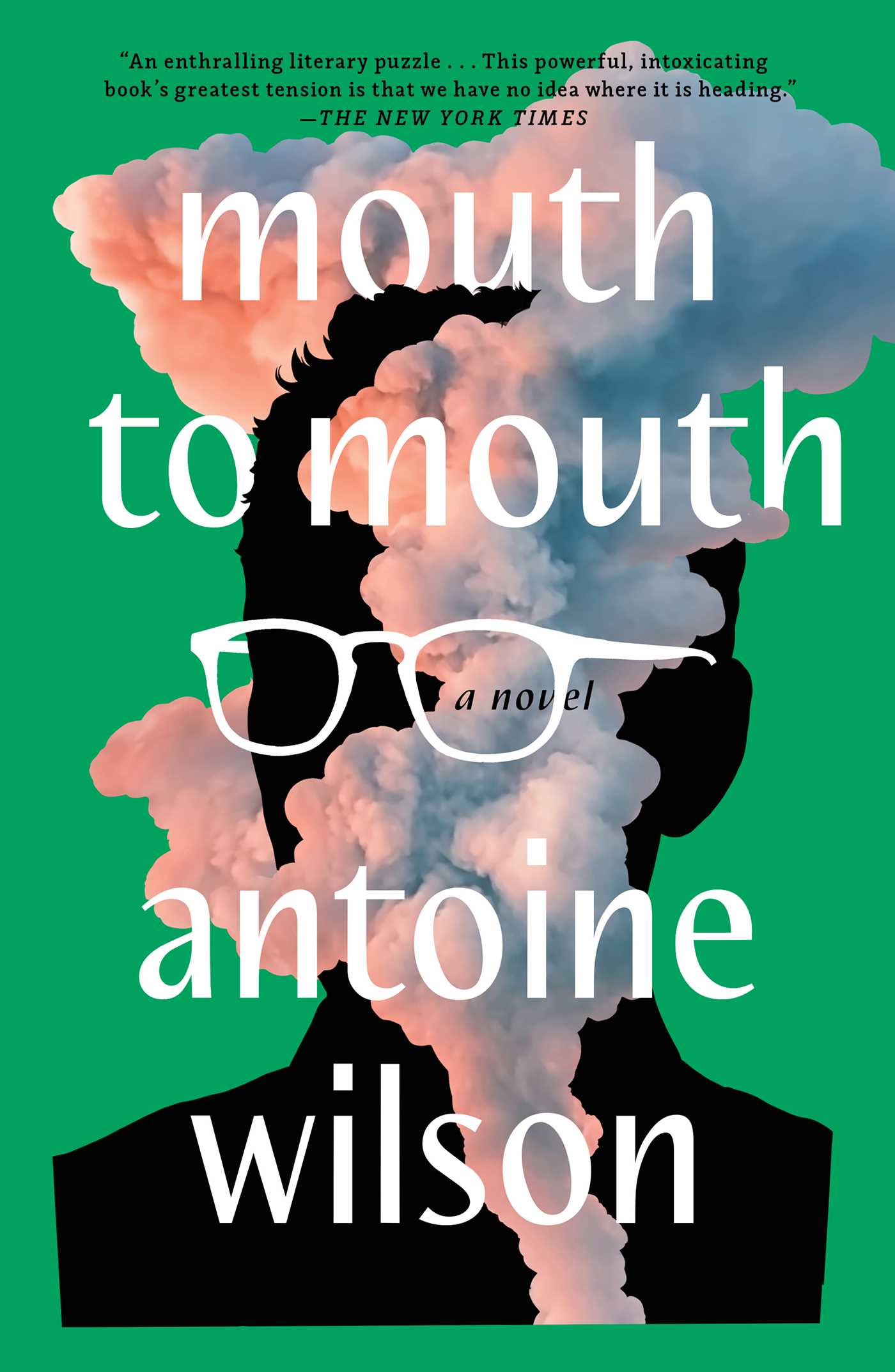 Mouth to Mouth - Agricola Street Books