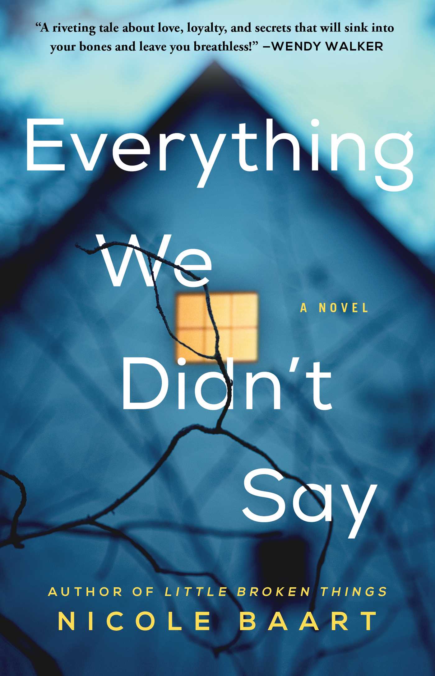 Everything We Didn't Say - Agricola Street Books