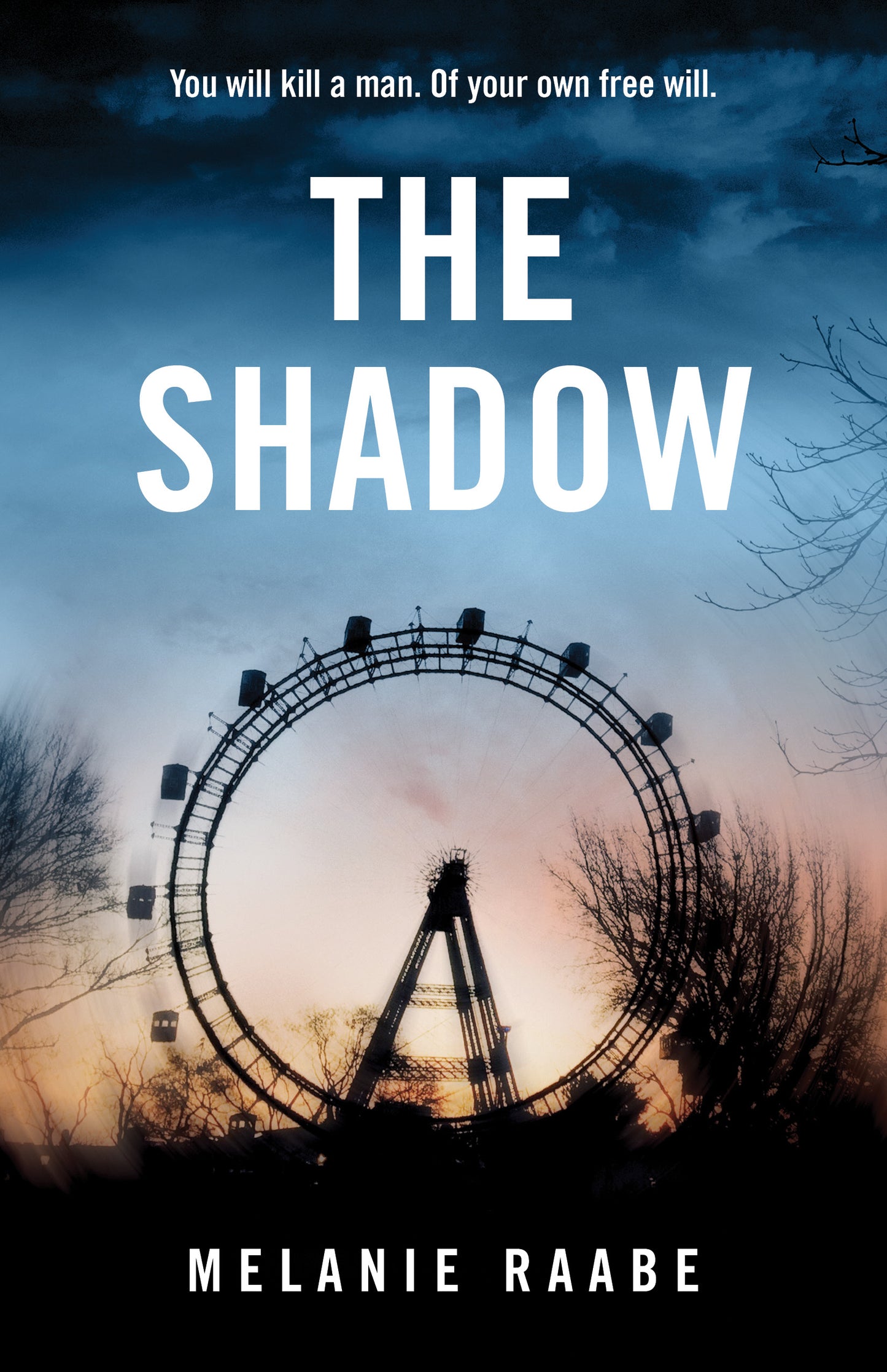 The Shadow - Agricola Street Books