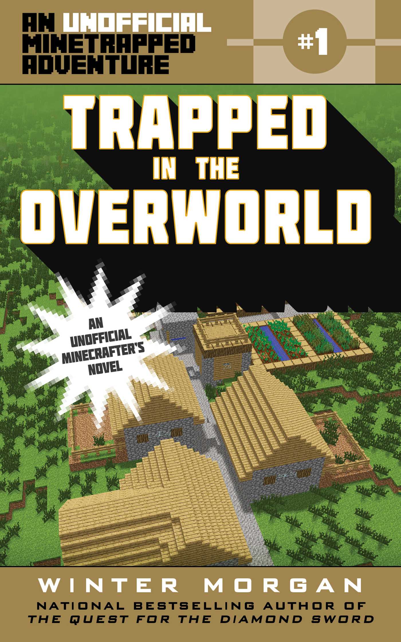 Trapped in the Overworld - Agricola Street Books