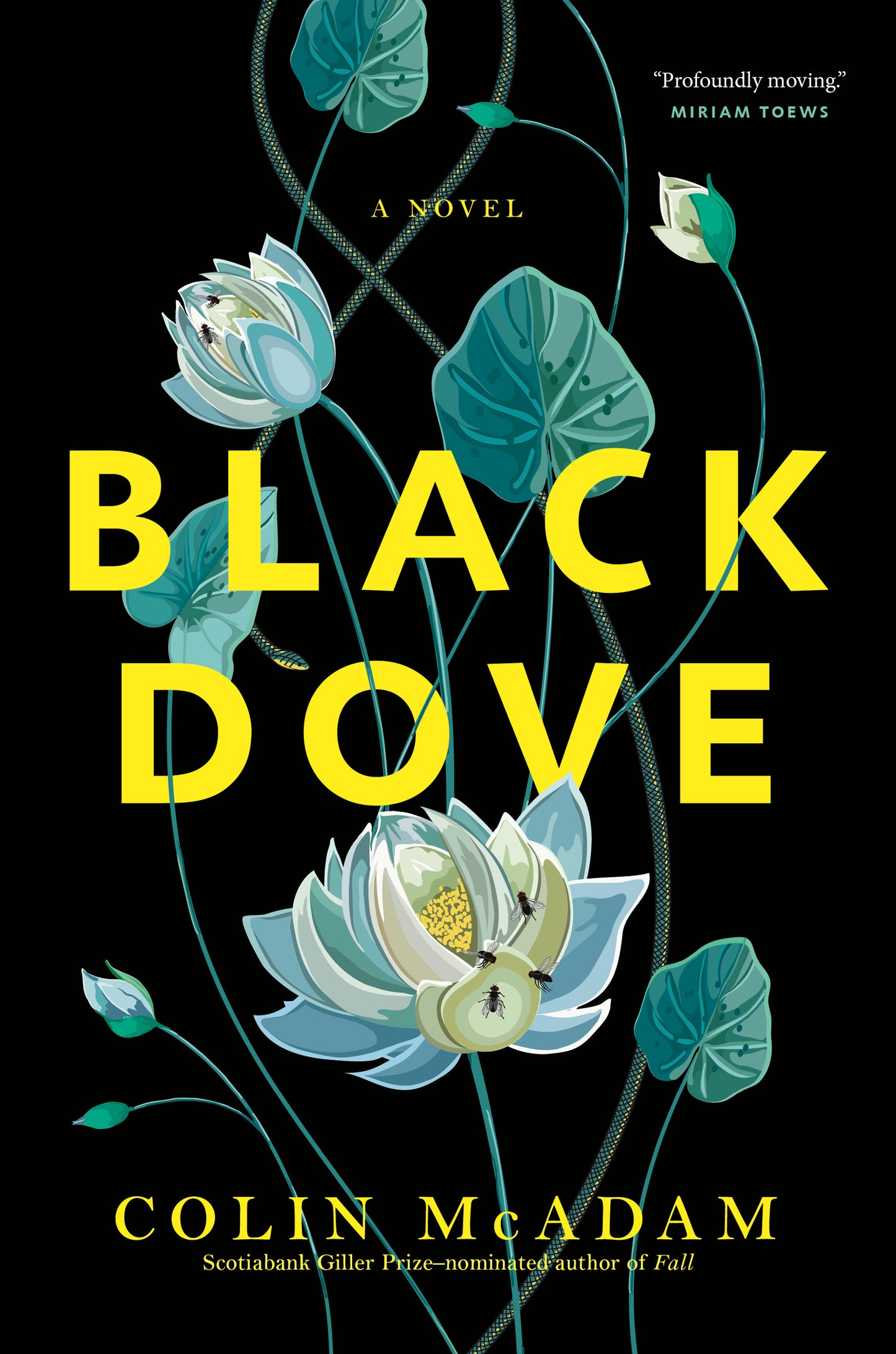 Black Dove - Agricola Street Books
