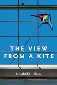 View From a Kite - Agricola Street Books