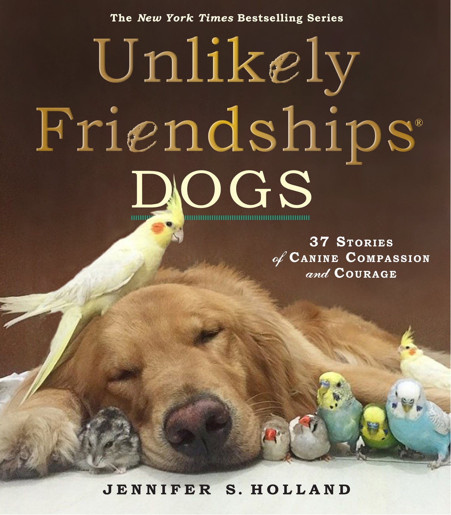 Unlikely Friendships: Dogs - Agricola Street Books