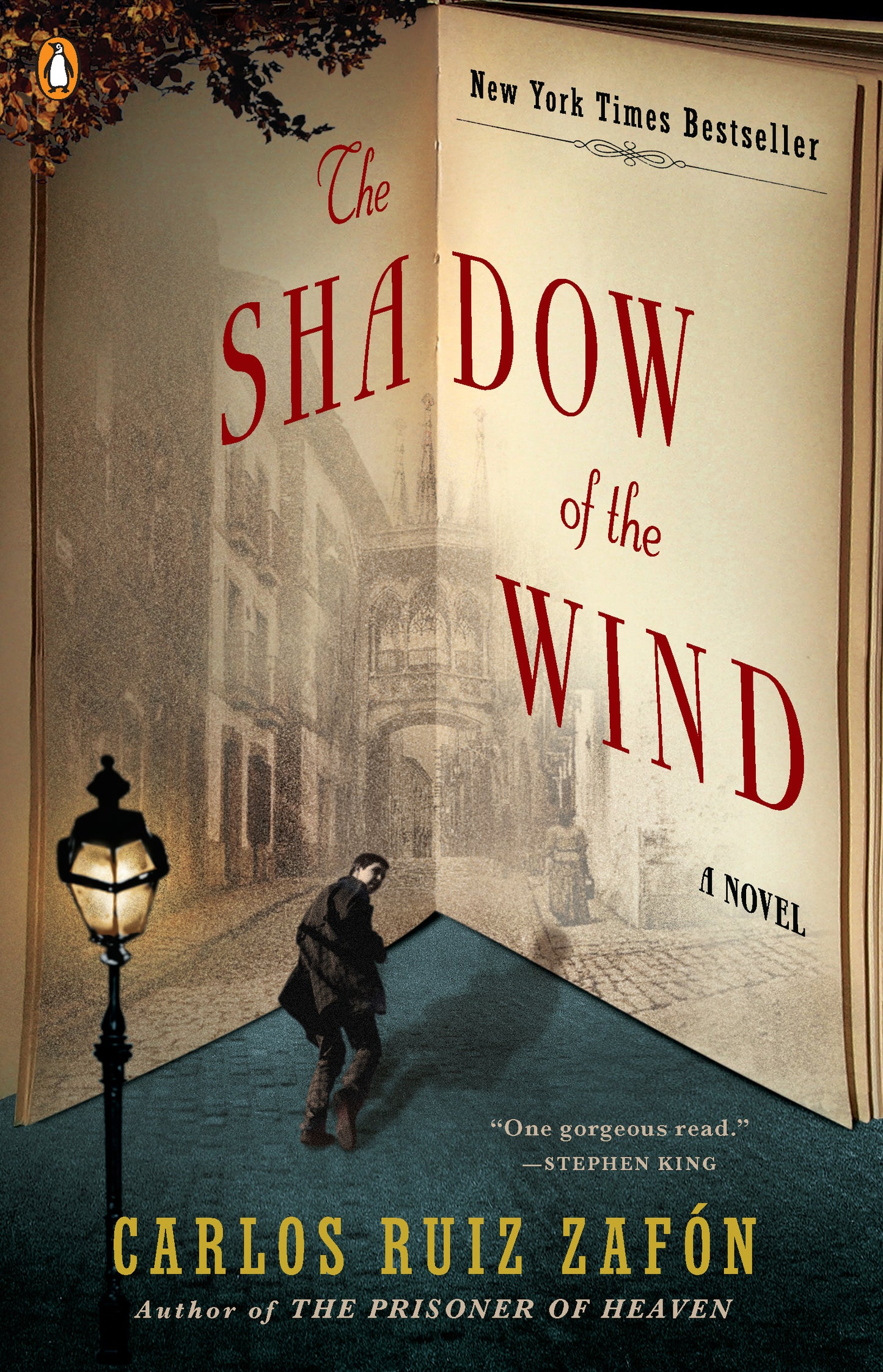 The Shadow of the Wind - Agricola Street Books