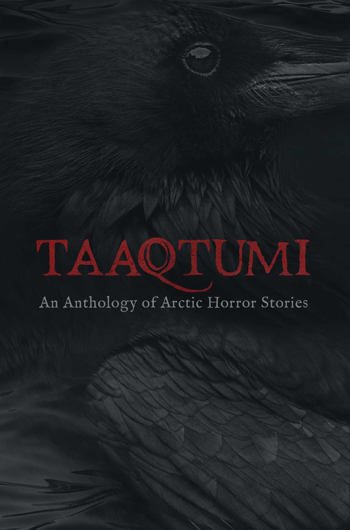 Taaqtumi - Agricola Street Books
