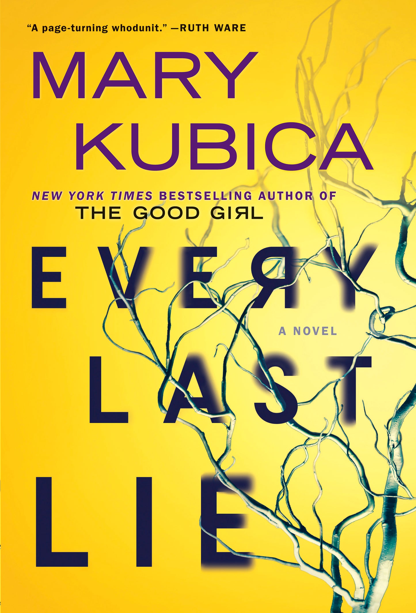 Every Last Lie - Agricola Street Books
