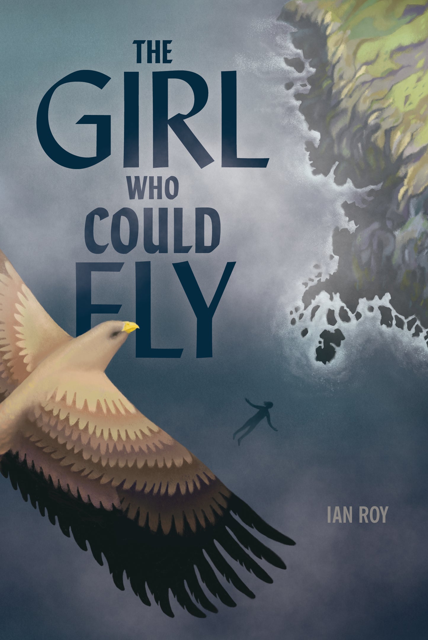 The Girl Who Could Fly - Agricola Street Books