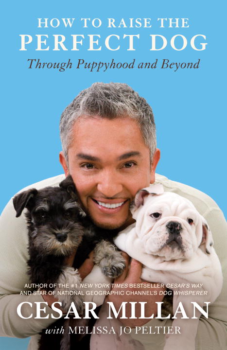 How to Raise the Perfect Dog - Agricola Street Books